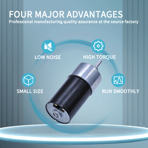 Puissant usine de haute qualité 3650 <span class=keywords><strong>moteur</strong></span> électrique à courant <span class=keywords><strong>continu</strong></span> sans balais longue durée de vie 37mm <span class=keywords><strong>moteur</strong></span> à engrenage droit Dc 12 <span class=keywords><strong>volts</strong></span> <span class=keywords><strong>24</strong></span> <span class=keywords><strong>volts</strong></span> - Product Image 2