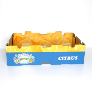 Solución de Empaque para Cajas de Frutas, para el Transporte de Frutas Frescas y Empaque Agrícola - Product Image 1