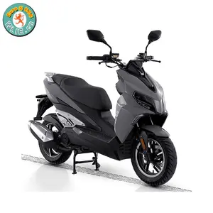 אירו 5 EEC 50cc קטנועים R9 50 (אירו 5)