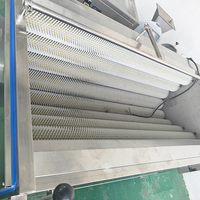 Automatische Parallelle Borstelrolwasser Schilmachine voor Gember, Aardappel, Wortel en Andere Wortelgewassen - Ideale Voedselverwerkingslijnapparatuur