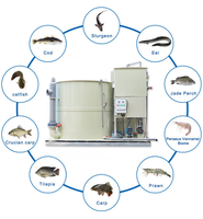 Système d'aquaculture recirculante RAS pour l'élevage de poissons en intérieur, aquaculture haute densité, filtration intégrée tout-en-un pour le tilapia