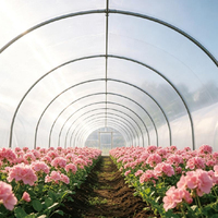 Film plastique de serre Makeximu de haute qualité, film de serre PO à conversion lumineuse pour serres de jardin et serres à légumes
