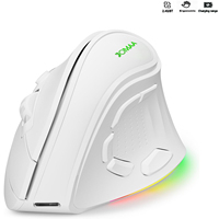 2.4G Dual Mode Ergonomische Verticale Draadloze Muis 4000 CPI 9 Knoppen RGB Verlicht Oplaadbare Draadloze Stille Muis voor Desktop