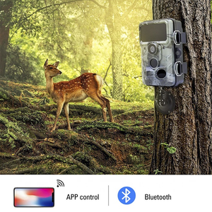 Cámara de Caza <span class=keywords><strong>Digital</strong></span> RD3019 PRO 4K UHD, Cámara de Seguridad para Fauna Silvestre con Wifi, Resistente al Agua, 0.3S, 30MP - Product Image 6