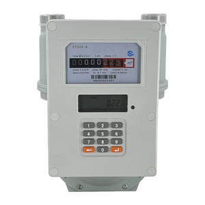 STS trả trước đồng hồ đo khí IC thẻ thanh toán cho dân cư/Sử dụng thương mại Đồng hồ đo khí thông minh kỹ thuật số với màn hình <span class=keywords><strong>LCD</strong></span> STG16-A bàn phím - Product Image 1