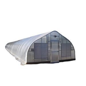 Invernadero Túnel Agrícola de Fácil Instalación para Viveros, en Venta, Proveedor Chino, Precio Económico - Product Image 2