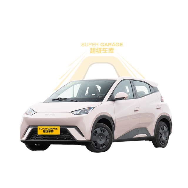 Electric Compact Car New Energy Vehicle Small Ev  Electric Car for BYD