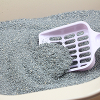 Litière pour chat en bentonite de sodium naturelle, sans poussière, agglomération instantanée, super désodorisant, directement de l'usine