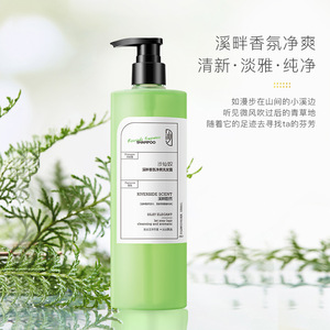 Shampooing Parfumé Sur Mesure Anti-Pelliculaire Lissant Format Familial Liquide Nettoyant Pour Tous Types de Cheveux Unisexe - Product Image 1