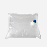Boîte de conditionnement en carton jetable personnalisée 2L 3L 5L pour café, jus froid, distributeur Bag-in-Box, sac aseptique
