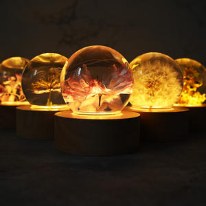 Idee regalo per il giorno degli insegnanti conservate con vero fiore naturale USB luce notturna confezione regalo di compleanno per gli studenti torna a scuola - Product Image 5