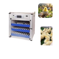 EJIN Incubateur Industriel à Température Constante de Haute Qualité pour l'Éclosion des Œufs, Machine à 200 Œufs, 110V/220V, PLC, Garantie 1 An