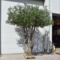 Real Touch Olive Tree Big Olive Tree olivier artificiel pour le lobby du département de luxe