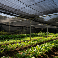 Rouleau de filet pare-soleil noir pour pépinière, tunnel, verger, arbres fruitiers, ferme, légumes, protection des cultures extérieures et des plantes