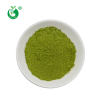 Échantillon gratuit en vrac prix poudre de thé vert Matcha biologique pour boissons quotidiennes
