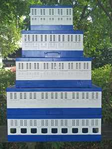 Plastik katlanabilir taşıma kuş kafesi fantezi taşıma güvercin papağan kuşlar katlanır ulaşım kuş kafesi - Product Image 3