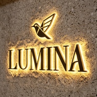 Enseigne en lettres métalliques 3D LED pour salon de beauté, panneau mural avec nom, enseigne publicitaire rétroéclairée en acier inoxydable, logo métallique