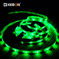 Bande Lumineuse LED Flexible 5050 Intelligente d'Extérieur DC12V RGB Étanchéité IP65, avec Adaptateur et Contrôleur Amovible