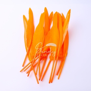 Прямые поставки с завода: Горячая распродажа, отличное качество, низкая цена, 10-15 дюймов, окрашенные гусиные перья для указателей, в наличии - Product Image 1