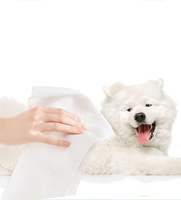 Lingettes humides de nettoyage pour animaux de compagnie de marque personnalisée 80 pièces humides pour tous les chiens et chats avec joint de verrouillage humide