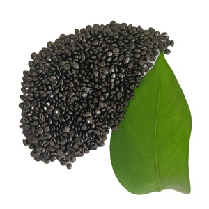 Thổi phim lớp màu đen chủ lô cho hợp chất phim sữa phim - Product Image 6