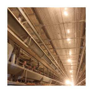 Tianrui Nieuwe Automatische Eierlaag Kooi (Gegalvaniseerd Staal) Voor Pluimveebedrijf In Zuid-Afrika - Product Image 5