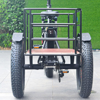 BEITE/TDE-09Z Bafang vélo électrique 250W avec moteur de moyeu arrière et système de frein à disque de batterie au lithium 48V tout dans une boîte en bois