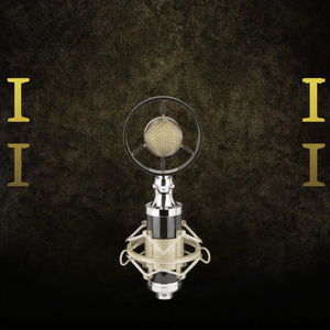 MY MIC T4 Microphone à Condensateur Professionnel Portable avec Connecteur XLR et Réduction du Bruit pour Streaming en Direct, <span class=keywords><strong>YouTube</strong></span>, Chant - Product Image 3