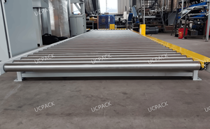 Materiaalafhandeling voor zware pallets: kettingaangedreven rollenbaan - Product Image 5