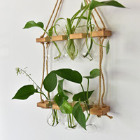 Vase hydroponique créatif en verre borosilicate semi-artisanal, décoration murale pour plantes vertes, suspendu au mur du salon, pour Pothos