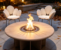 Table de feu circulaire moderne au gaz naturel pour l'extérieur, idéale pour les espaces ensoleillés, les terrasses et les jardins
