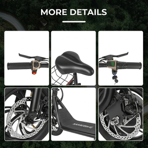 Scooter EU OEM le plus récent, 36V, 12 pouces, 2 roues, antivol, étanche, avec siège pour adultes SM-C01 - Product Image 3