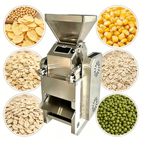 Machine à floquer les graines de soja - Acier inoxydable 304, capacité 450 kg/h, multifonctionnelle pour les collations protéinées végétales, certifiée CE
