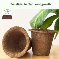 Pots à semis biodégradables à 100 %, respectueux de l'environnement, en fibre de coco, fabriqués par des fabricants de pots à semis respectueux de l'environnement