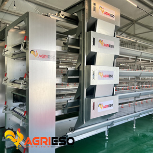 Sistema Automático de Jaulas para Gallinas Ponedoras para Granjas Avícolas con Sistema de Alimentación, Recolección de <span class=keywords><strong>Huevos</strong></span> <span class=keywords><strong>y</strong></span> Eliminación de Estiércol - Product Image 2