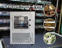 Optie Voedsel Vacuüm Vriesdroogmachine Gedroogd Fruit Vriesdroogapparatuur Huis Vriesdroger Te Koop