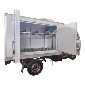 <span class=keywords><strong>Trimoto</strong></span> cerrada, triciclo refrigerado Popular de 250cc, 300cc, motocicleta de tres ruedas, <span class=keywords><strong>gasolina</strong></span> - Product Image 5