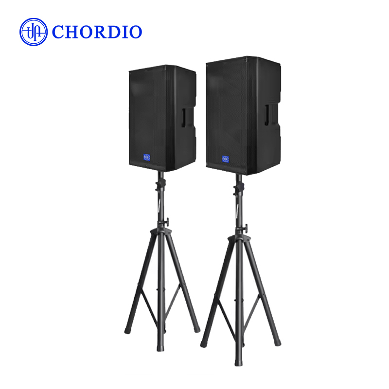 How to Choose a Complete Professional Sound System: Buying Guide
