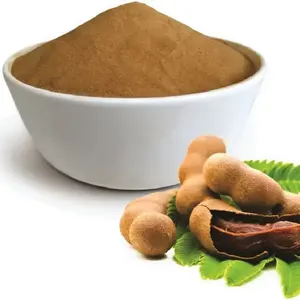 GMP standard High Quality Tamarind Indica Fruit Seed Powder Tamarind indica Powder