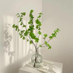 Plante Artificielle Piper Oryzae 30cm-100cm Fleur en Soie Décoration Intérieure Verdure - Product Image 3
