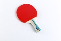 Pas cher Raquette De Ping-Pong Livré avec Sac Housse de Raquette de Ping-Pong avec Étui