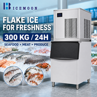 Machine à glace industrielle de 1350W pour la transformation des produits de la pêche et des fruits de mer, production de glace en flocons et manipulation facile des flocons