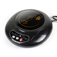 Ménage Mini Cuisinière À Induction Électrique Lait Eau Café Chauffage Poêle Théière Nouilles Chaudière Voyage Chauffage Cuire Hotpot Plaque