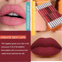 Paket Lipstik Cair Grosir 10pcs, Lip Gloss Matte Berpigmen Tinggi, Tahan Air, dan Melembapkan