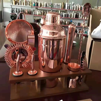 Ensemble de barman de luxe en acier inoxydable coloré de 11 pièces, durable, avec support en bambou, coffret cadeau de voyage, 750 ml
