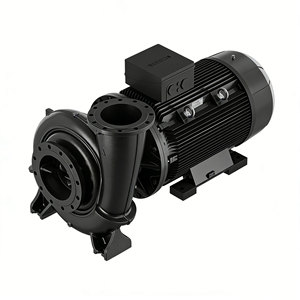 Pompe horizontale à aspiration axiale Grundfos NbG en acier inoxydable 304, débit de 5 à 500 m³/h, application eau propre - Product Image 4