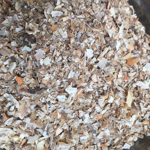 Precio barato Concha de cangrejo de alta calidad que se vende bien desde Vietnam - Product Image 1