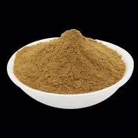 Bacillus coagulans HH-BC02 100 milliards cfu/g brevets spore probiotique poudre lactobacillus sporogenes