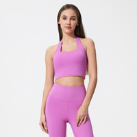 Sujetador deportivo OEM para mujer, con cuello halter, acolchado, de alta elasticidad, ajuste ceñido, para correr, gimnasio, fitness, marca privada, venta al por mayor