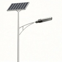 Lámpara Solar LED Ajustable de 30W para Calle, Plástico, IP65 Impermeable, Uso en Exteriores, Iluminación Vial, con Batería LiFePO4